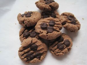 Low Carb Choc Chip Cookies